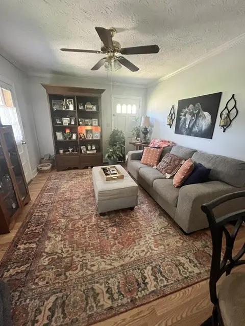 108 Greenwood St, Mount Pleasant, TN 38474 - #3