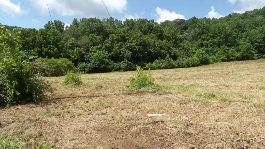 0 Lonnie Reecer Rd, Celina, TN 38551 - #2