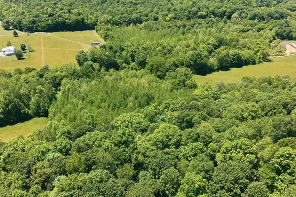 0 W Hills Drive, Mosheim, TN 37818