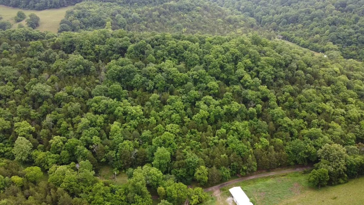 32 Patterson Ln, Pleasant Shade, TN 37145 - #1
