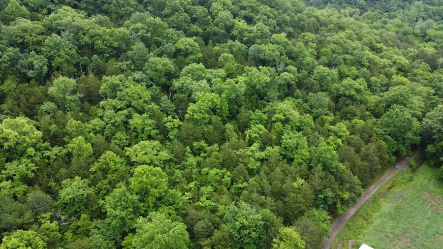 32 Patterson Ln, Pleasant Shade, TN 37145 - #2