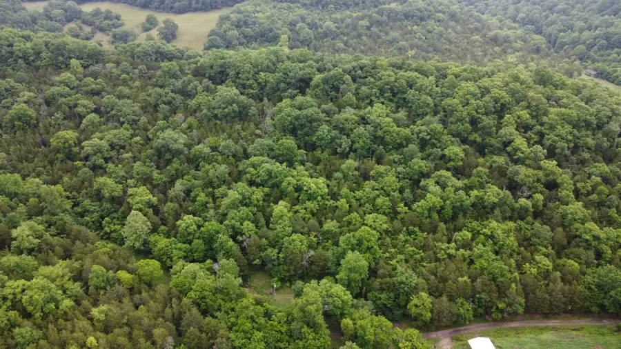 32 Patterson Ln, Pleasant Shade, TN 37145 - #3