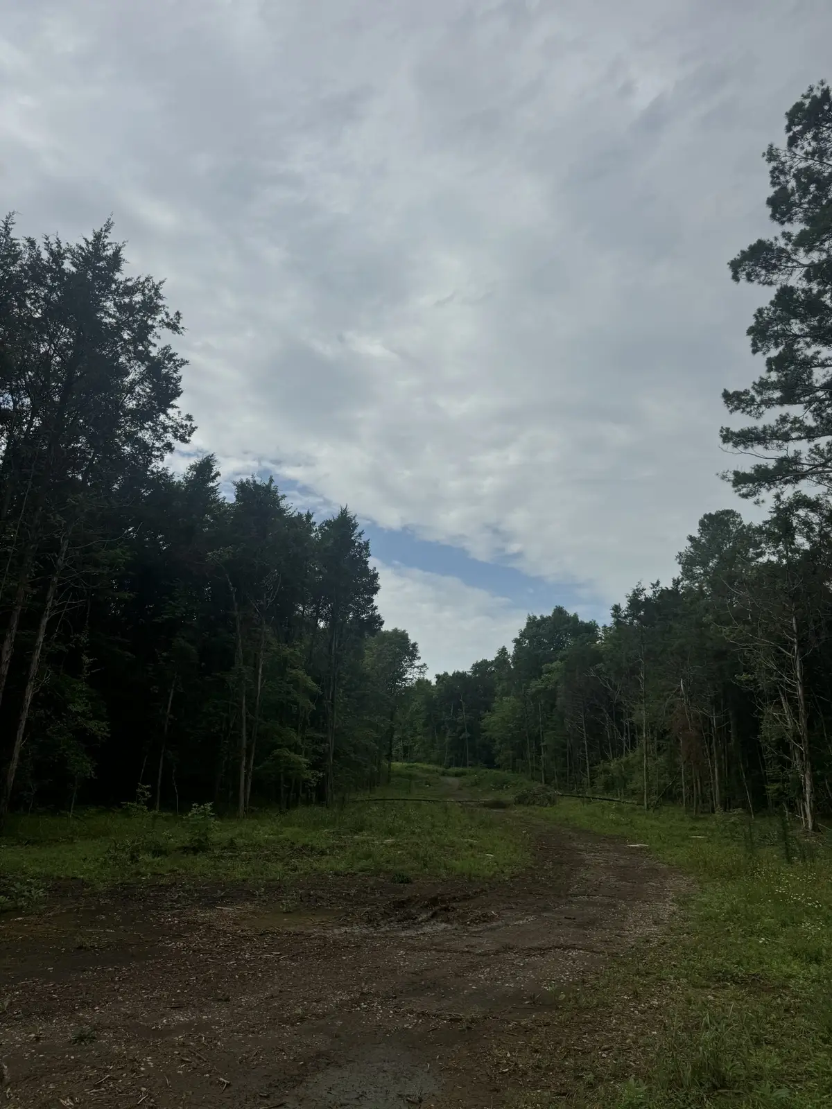 1133 Milltown Rd, Lewisburg, TN 37091 - #1