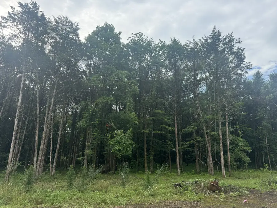 1133 Milltown Rd, Lewisburg, TN 37091 - #3