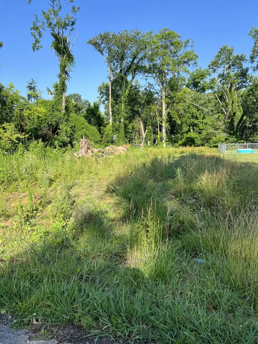 164 E Regent Dr, Clarksville, TN 37043 - #2