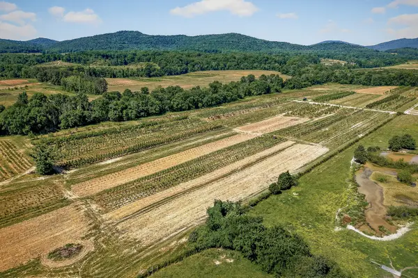 2 Hills Creek Rd, McMinnville, TN 37110