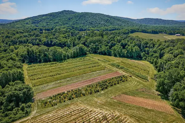 3 Hills Creek Rd, McMinnville, TN 37110