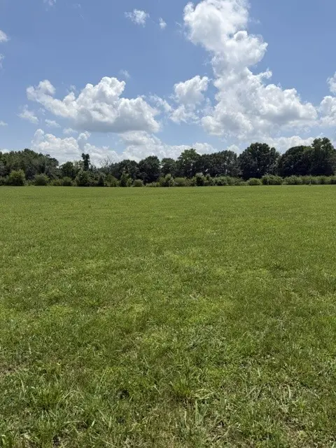 0 Old Salem Lexie Rd, Belvidere, TN 37306 - #3