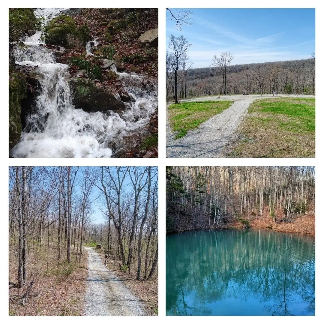 74 Black Cat Trl, Rockwood, TN 37854 - #1