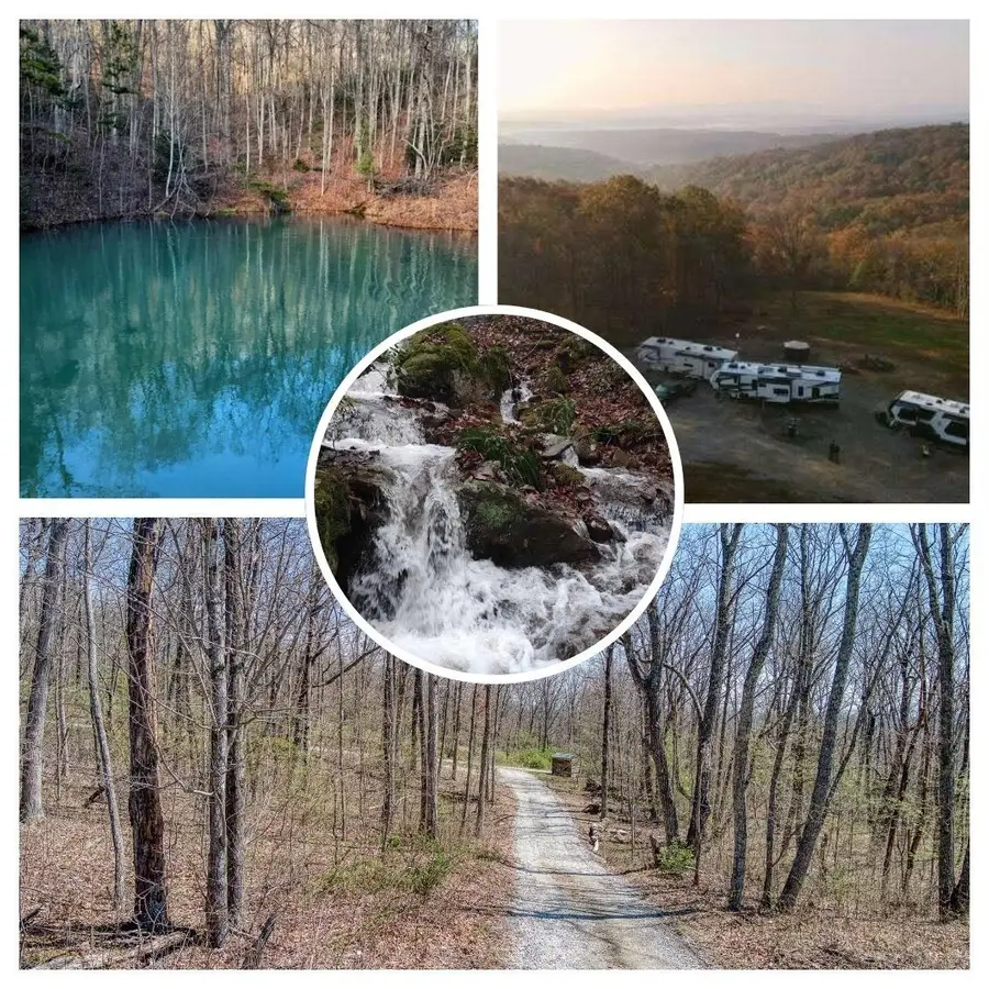 74 Black Cat Trl, Rockwood, TN 37854 - #2