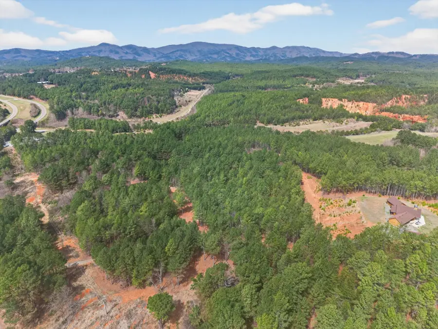 5333 Highway 64, Lot 1, Copperhill, TN 37317 - #3