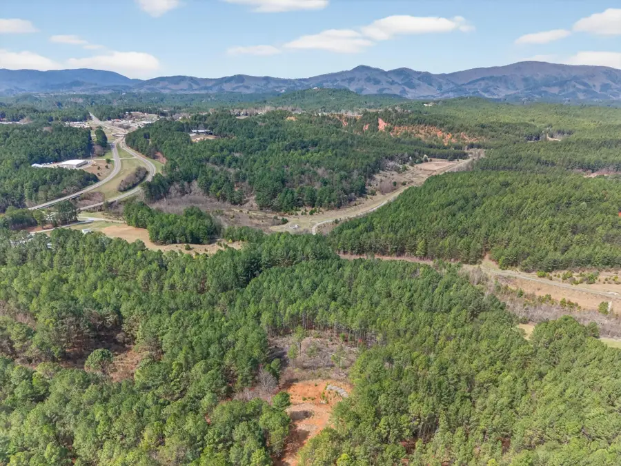 5333 Highway 64, Lot 5, Copperhill, TN 37317 - #3