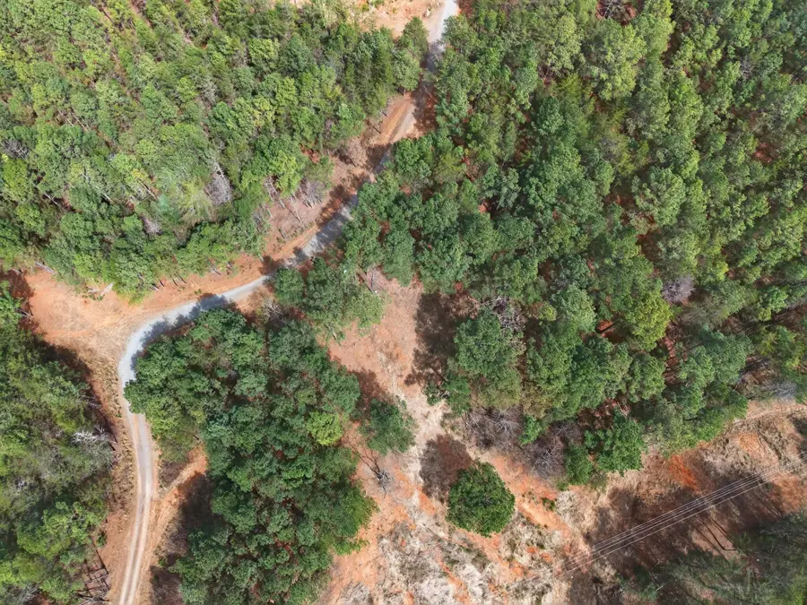 5333 Highway 64, Lot 6, Copperhill, TN 37317 - #3