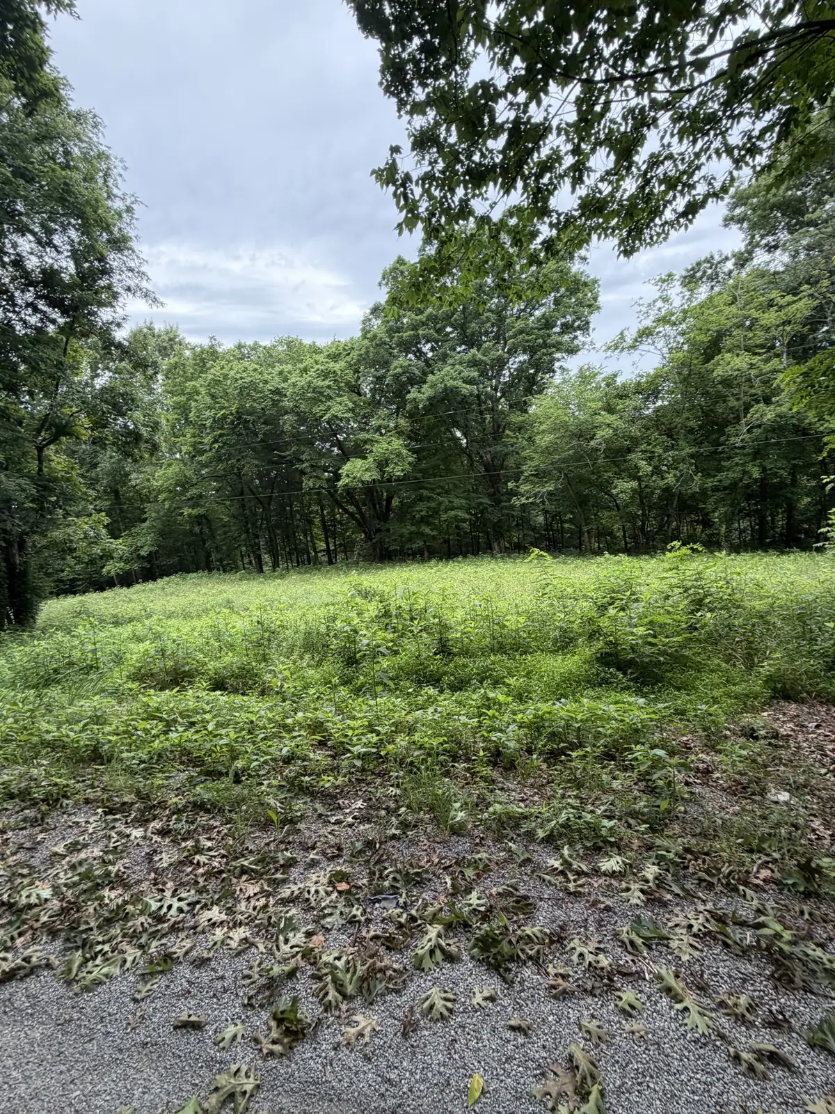 1299 Dixon Town Rd, Prospect, TN 38477 - #1