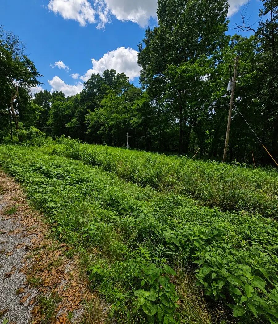 1299 Dixon Town Rd, Prospect, TN 38477 - #3