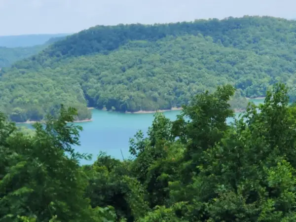 0 Rock Fish Rd E, Hilham, TN 38568