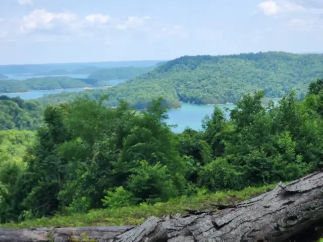 0 Rock Fish Rd E, Hilham, TN 38568 - #3