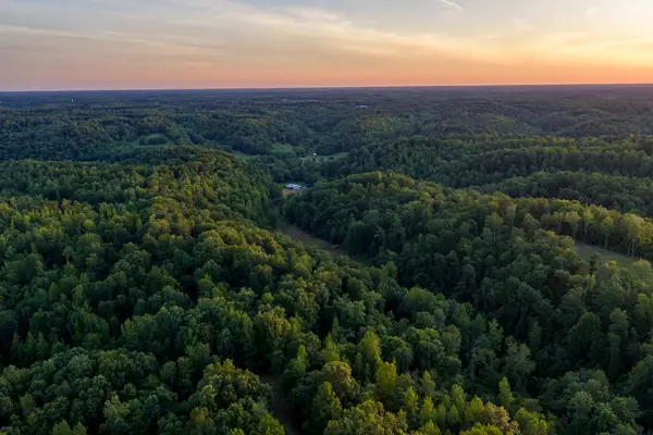 2073 Dog Branch Rd, Prospect, TN 38477