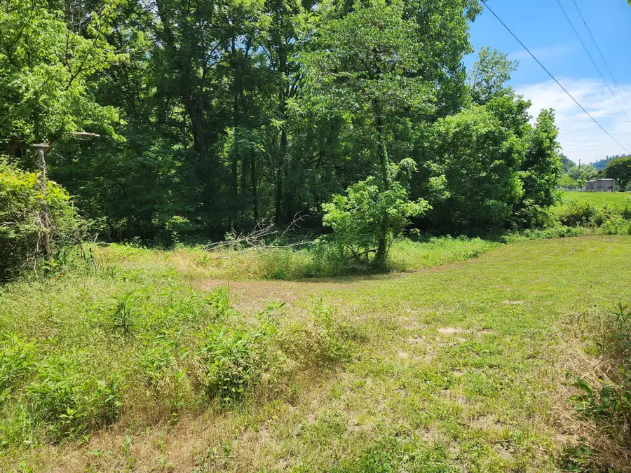 1 Scruggs Hollow Rd, Hartsville, TN 37074 - #2