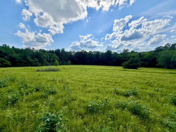 1251 Highway 96 N, Fairview, TN 37062