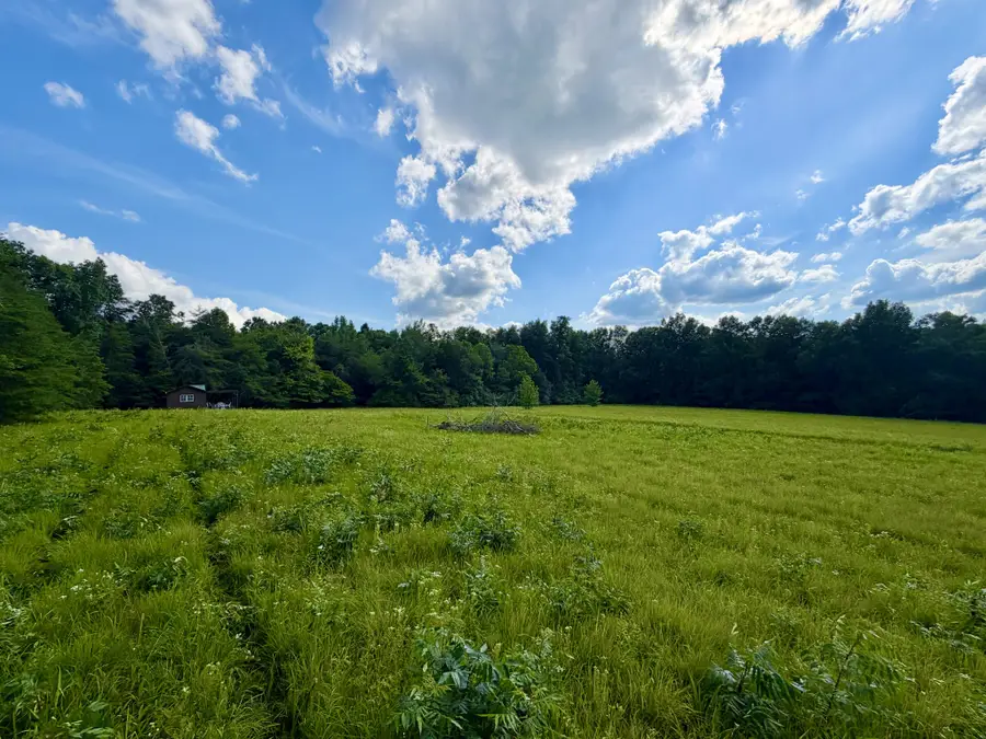 1251 Highway 96 N, Fairview, TN 37062 - #3