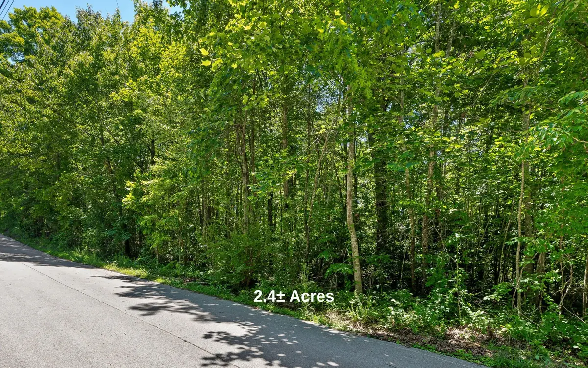 2 Holly Street, Signal Mountain, TN 37377 - #1