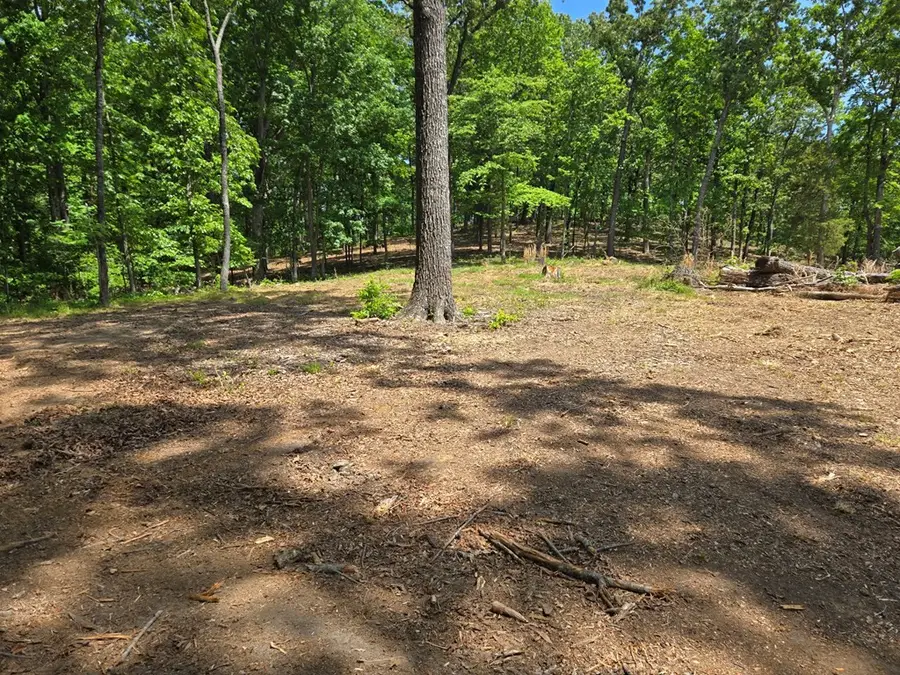 730 Swan Bay Dr, Buchanan, TN 38222 - #3