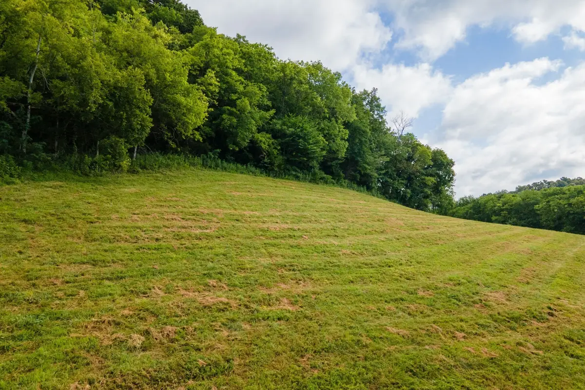 193 Dixon Ln, Pleasant Shade, TN 37145 - #1