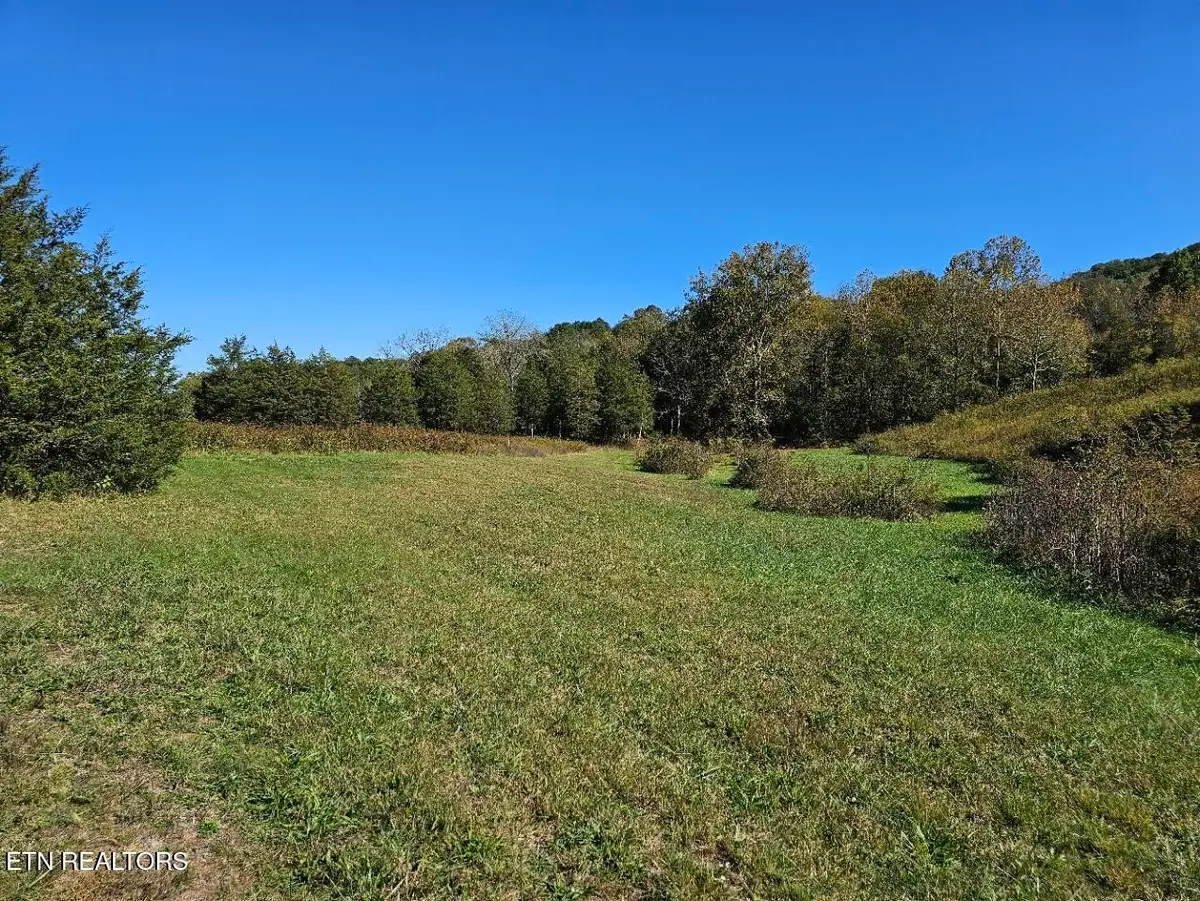 0 Shoreline Vista, Sharps Chapel, TN 37866 - #1