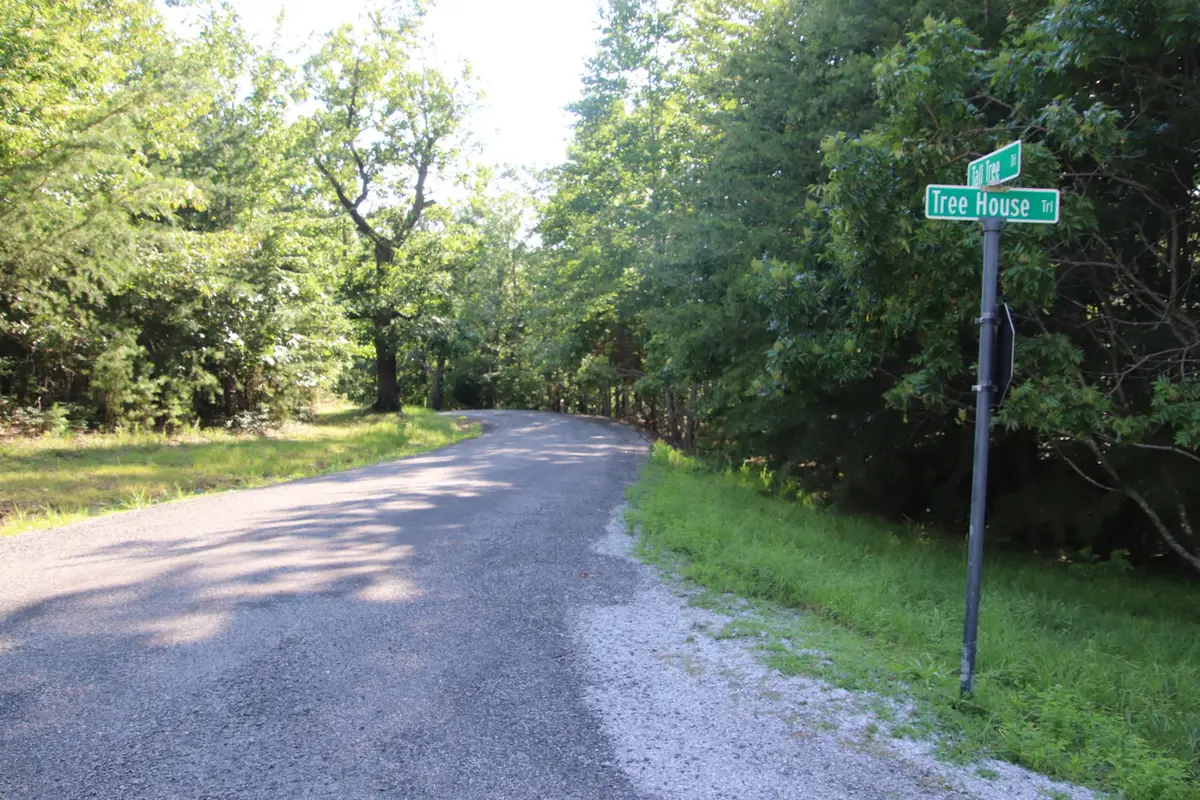 400 Tree House Trail, Dunlap, TN 37327 - #1