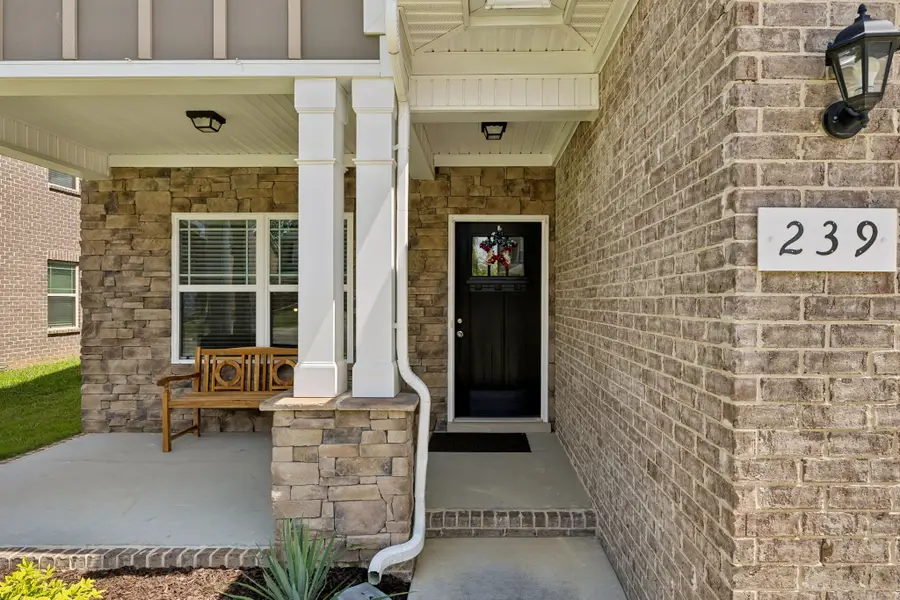 239 Thorpe Dr, Spring Hill, TN 37174 - #2
