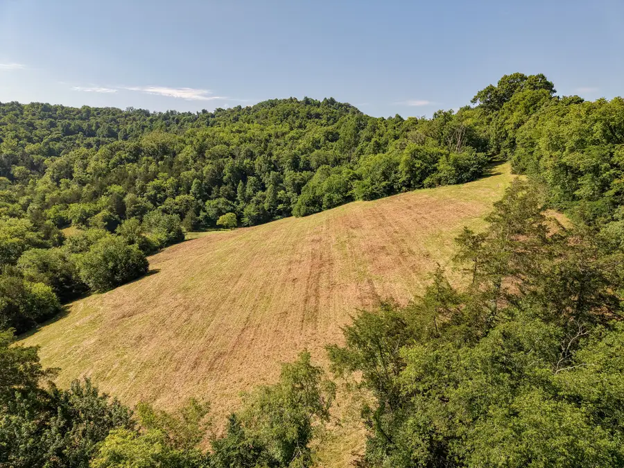 0 P Davis Rd, Auburntown, TN 37016 - #3