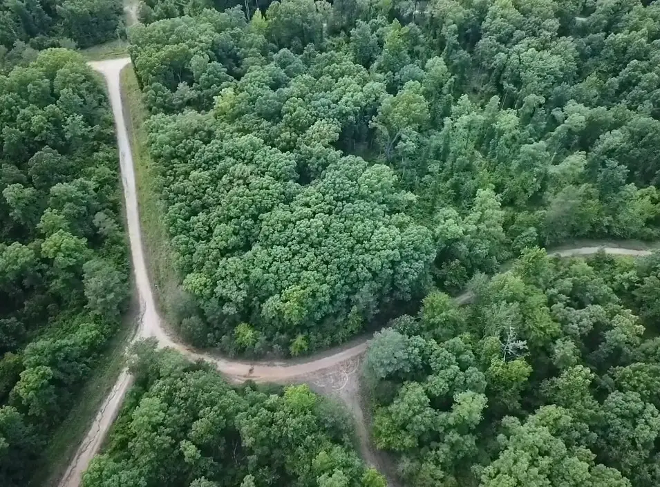94 Beaver Ln, Saulsbury, TN 38067 - #1