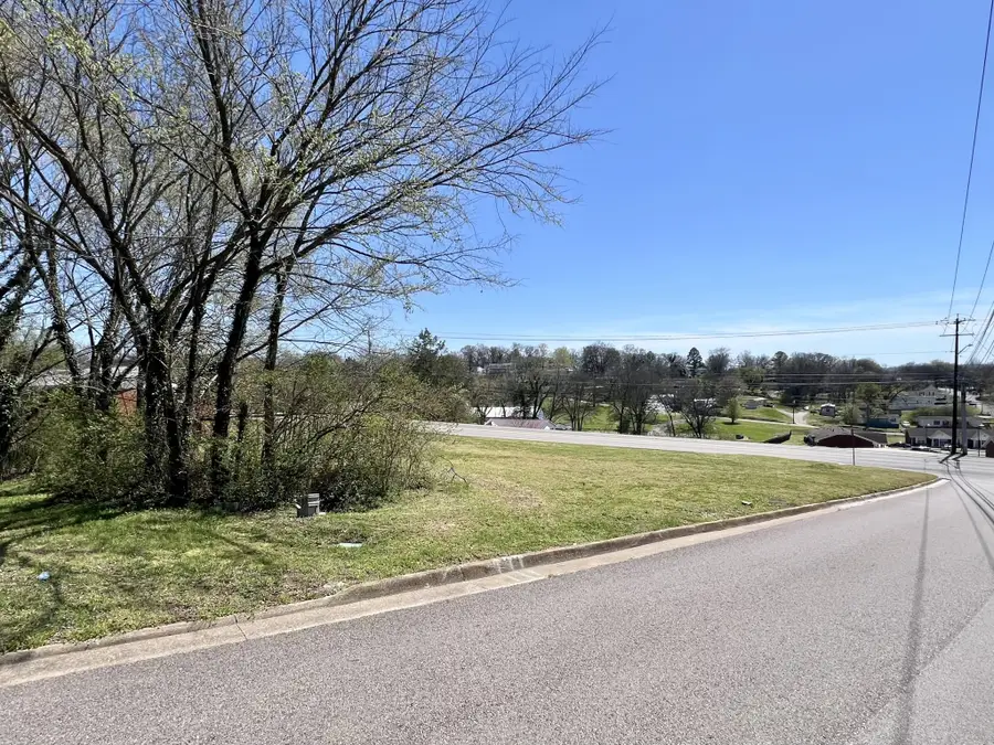 0 Lewisburg Hwy, Pulaski, TN 38478 - #3