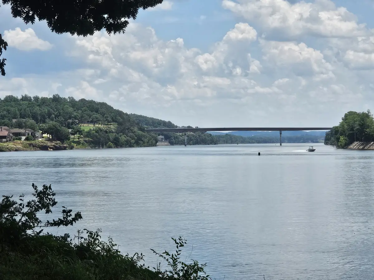 5 Island View Dr, Bath Springs, TN 38311 - #1