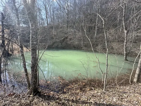 0 Little Creek Rd, Pleasant Shade, TN 37145