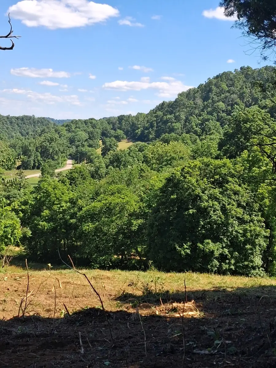 0 Little Creek Rd, Pleasant Shade, TN 37145 - #2
