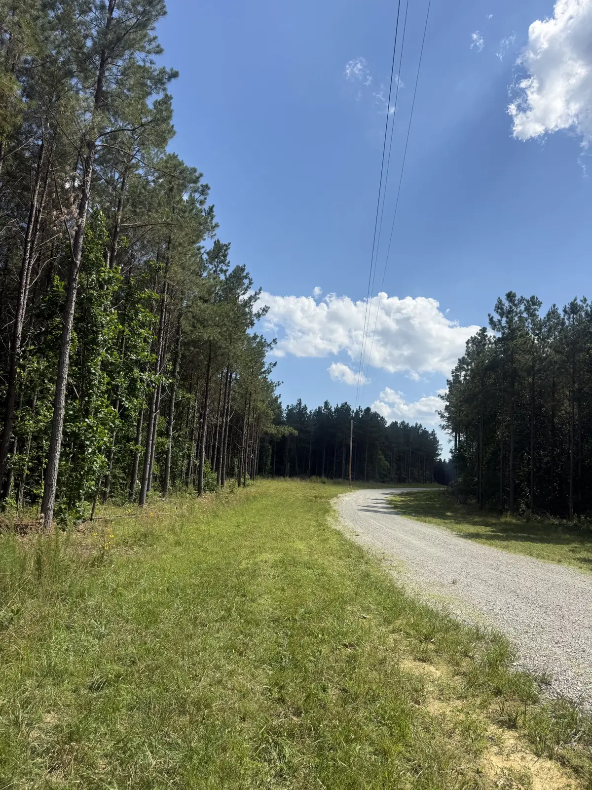 251 Fox Ridge Rd, Hohenwald, TN 38462 - #1