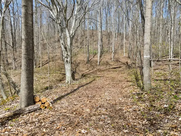 0 Old Highway 31e, Westmoreland, TN 37186