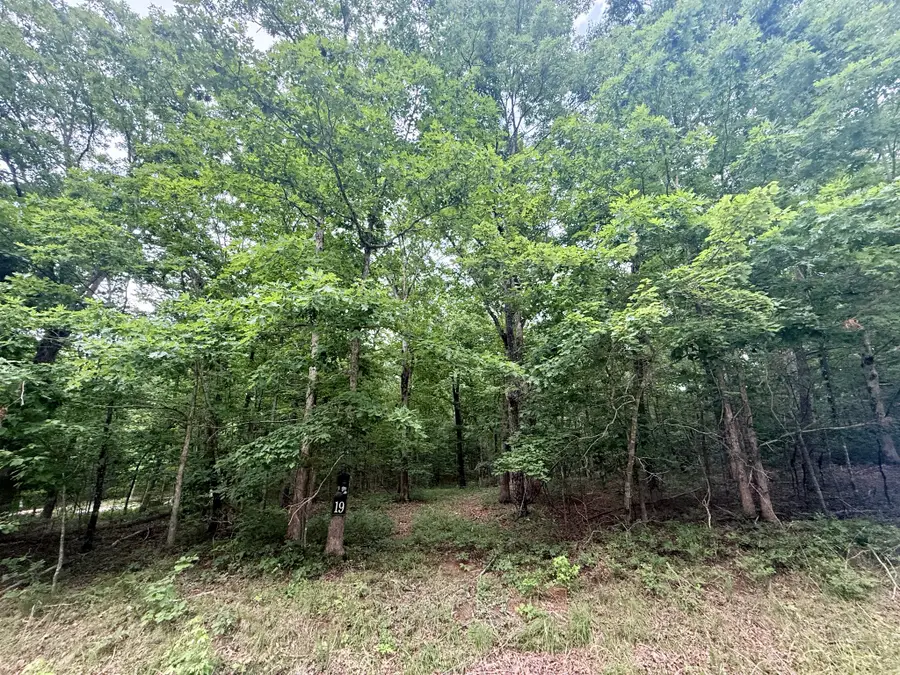 0 Deep Woods Road, Sewanee, TN 37375 - #2