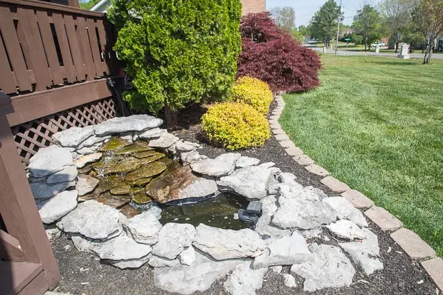517 Summerfield Dr, Smyrna, TN 37167 - #3