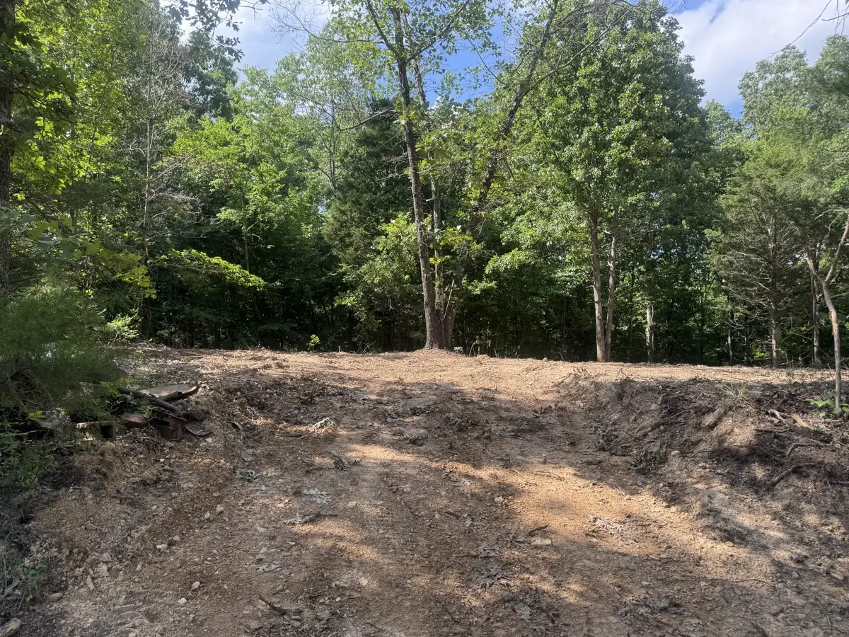 1 Commissary Ridge Rd, Indian Mound, TN 37079 - #1