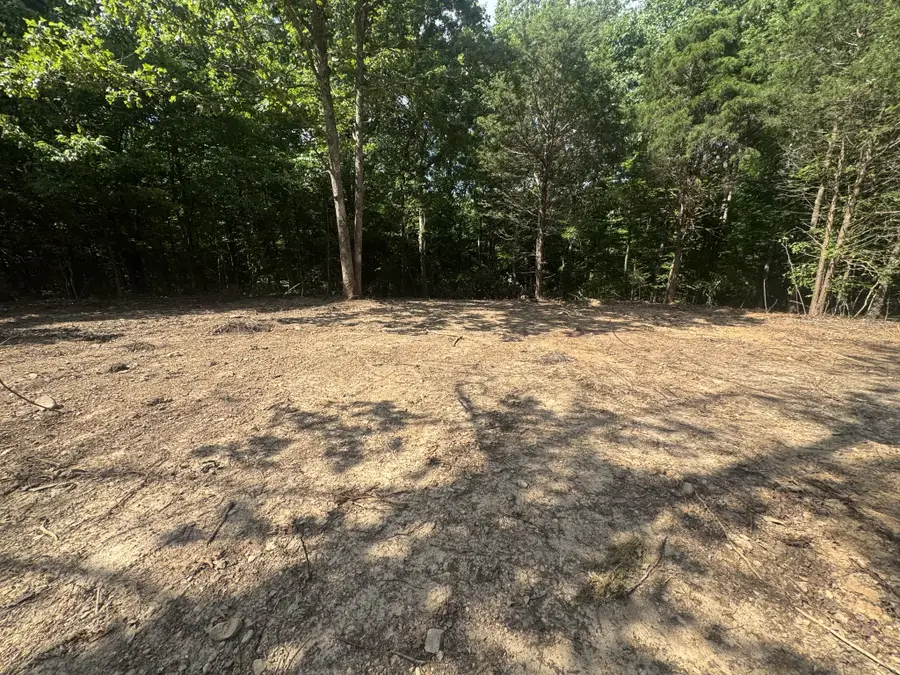 1 Commissary Ridge Rd, Indian Mound, TN 37079 - #2