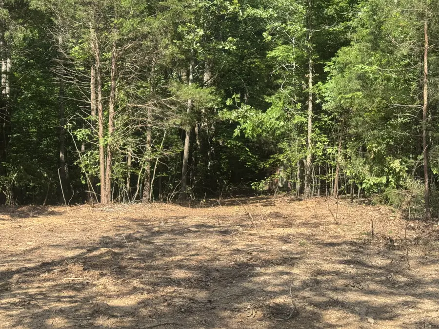 1 Commissary Ridge Rd, Indian Mound, TN 37079 - #3