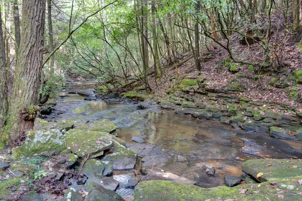 308 Timberwood Trc, Monteagle, TN 37356