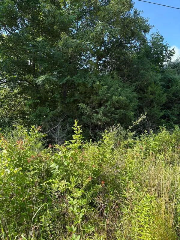 6 Old Furnace Road, Tellico Plains, TN 37385