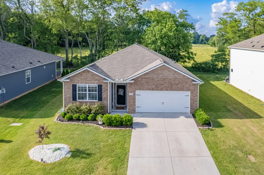 123 Olivia Cir, Chapel Hill, TN 37034 - #2