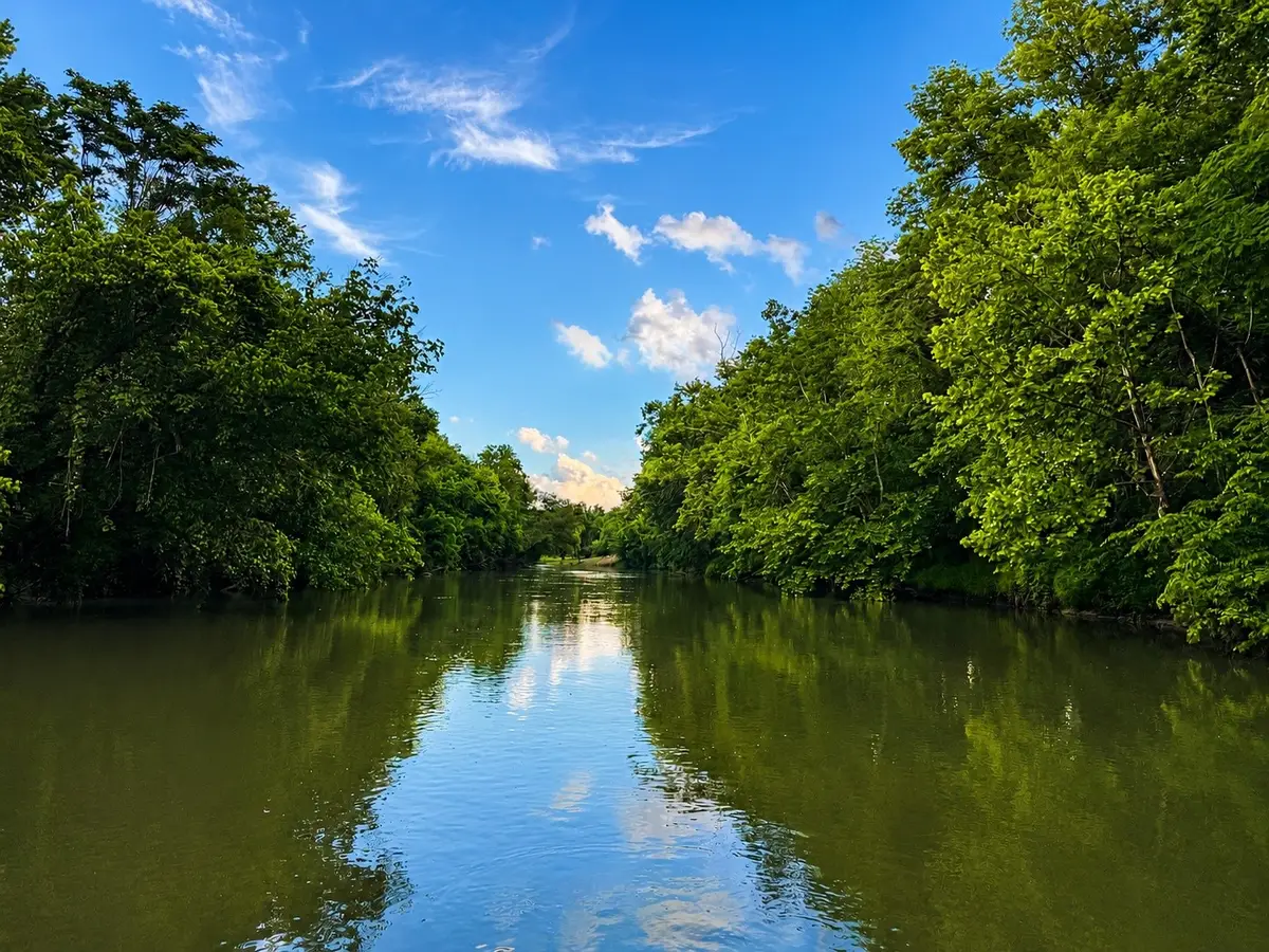 0 Highway 13, Linden, TN 37096 - #1