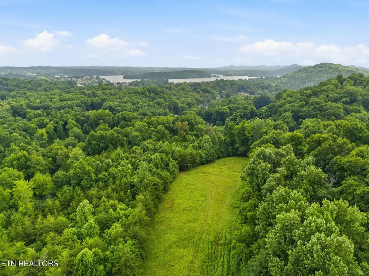 0 Mayo Rd, Vonore, TN 37885 - #1