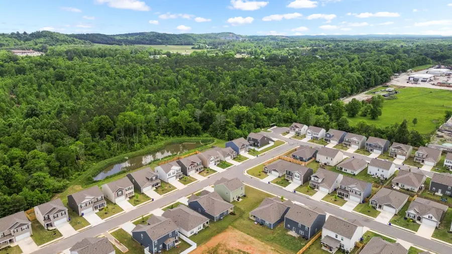 4133 Hines Lane Ne, Cleveland, TN 37323 - #2
